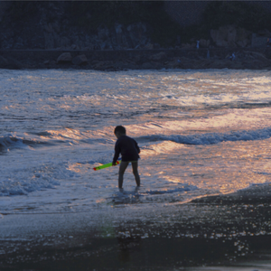 鲁大师免费日韩
