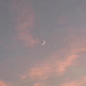 鲁大师免费日韩
